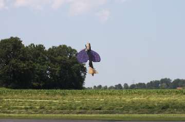 MFC Rosenheim Flugtag 2015-119