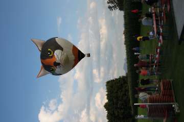 55 Jahre MFC Rosenheim Jubi Flugtag-103