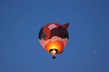 55 Jahre MFC Rosenheim Jubi Flugtag-104