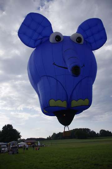 60 Jahre MFC Rosenheim Jubi Flugtag-122