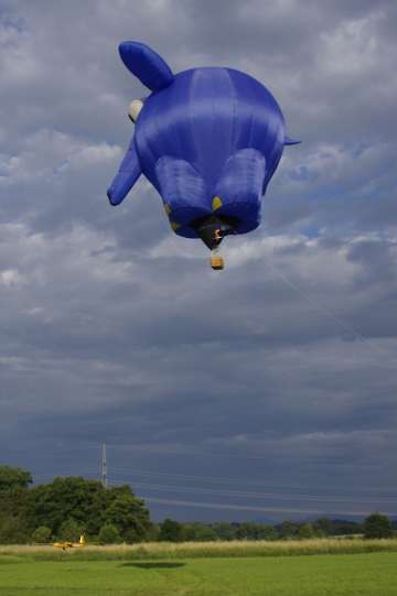 60 Jahre MFC Rosenheim Jubi Flugtag-128
