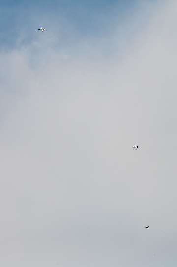 60 Jahre MFC Rosenheim Jubi Flugtag-86