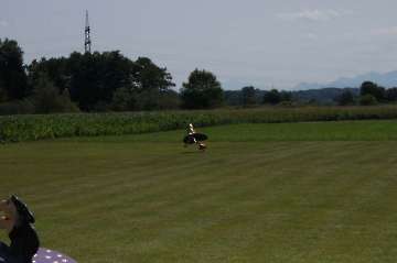 50 Jahre MFC Rosenheim Jubi Flugtag-191